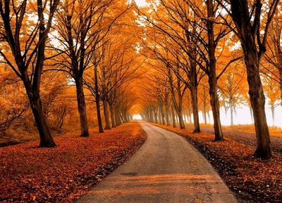 autumn-2.jpg